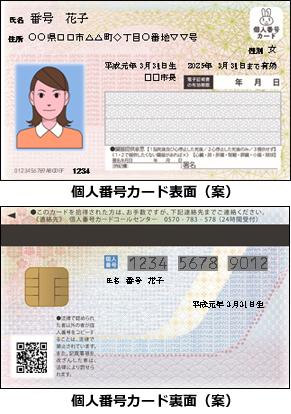 個人番号カード表面・裏面のデザイン案のイラスト