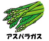 アスパラガスのイラスト