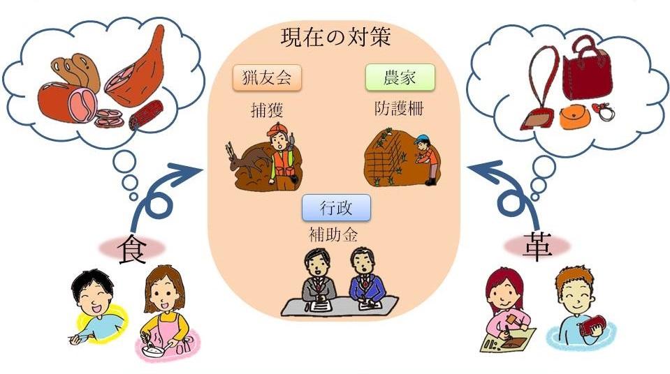 狩猟者、農家、行政と地域の繋がりを表したフロー図