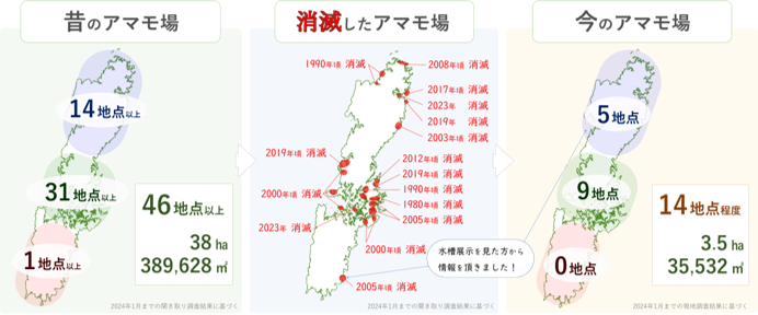 アマモ場今昔MAP。1980年頃から減少傾向にあることが見て取れる。