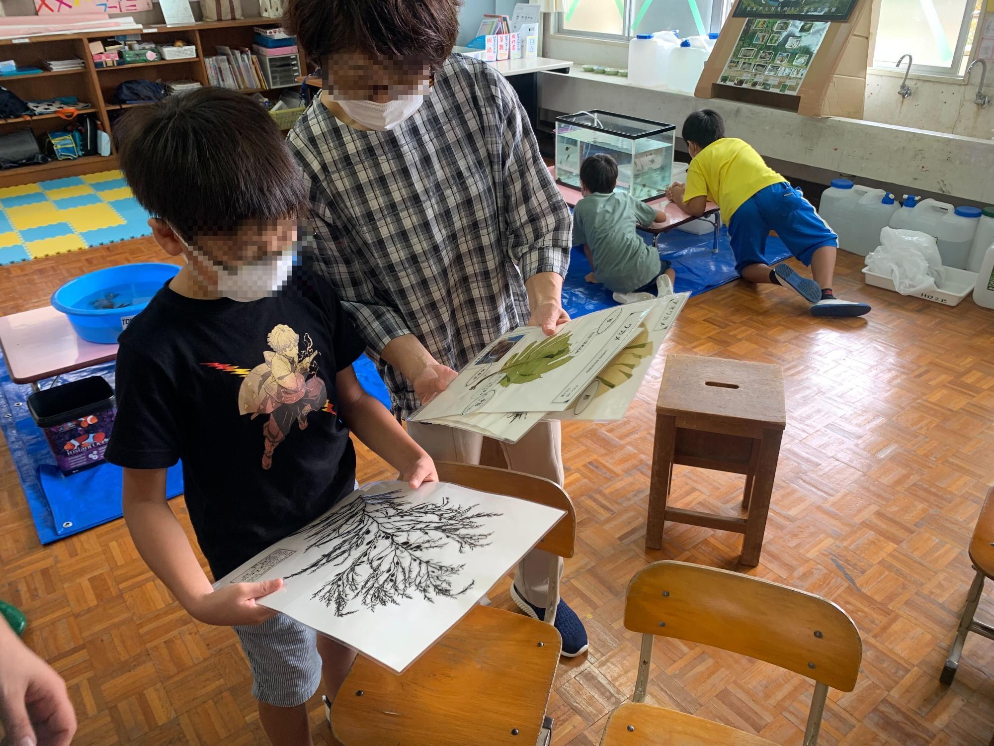 海藻の押し葉標本を観察する児童の画像
