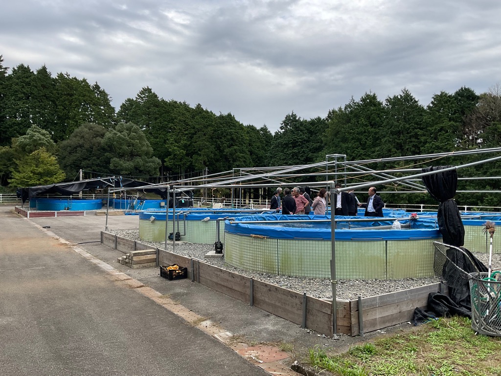 クラウドナインファーム