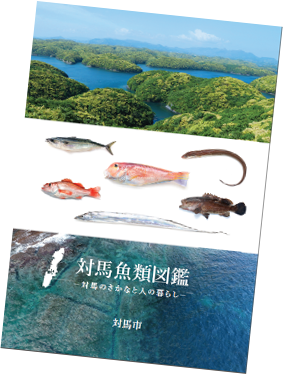 対馬魚類図鑑の表紙の写真