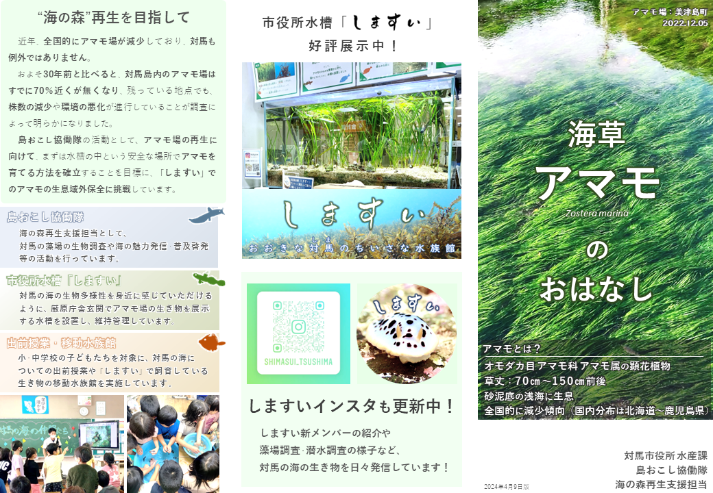 アマモのリーフレット 外側