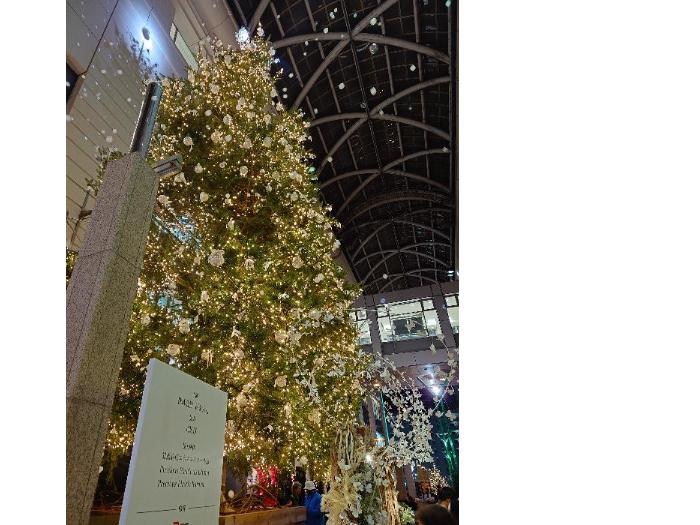 2024大丸クリスマスツリー全体像
